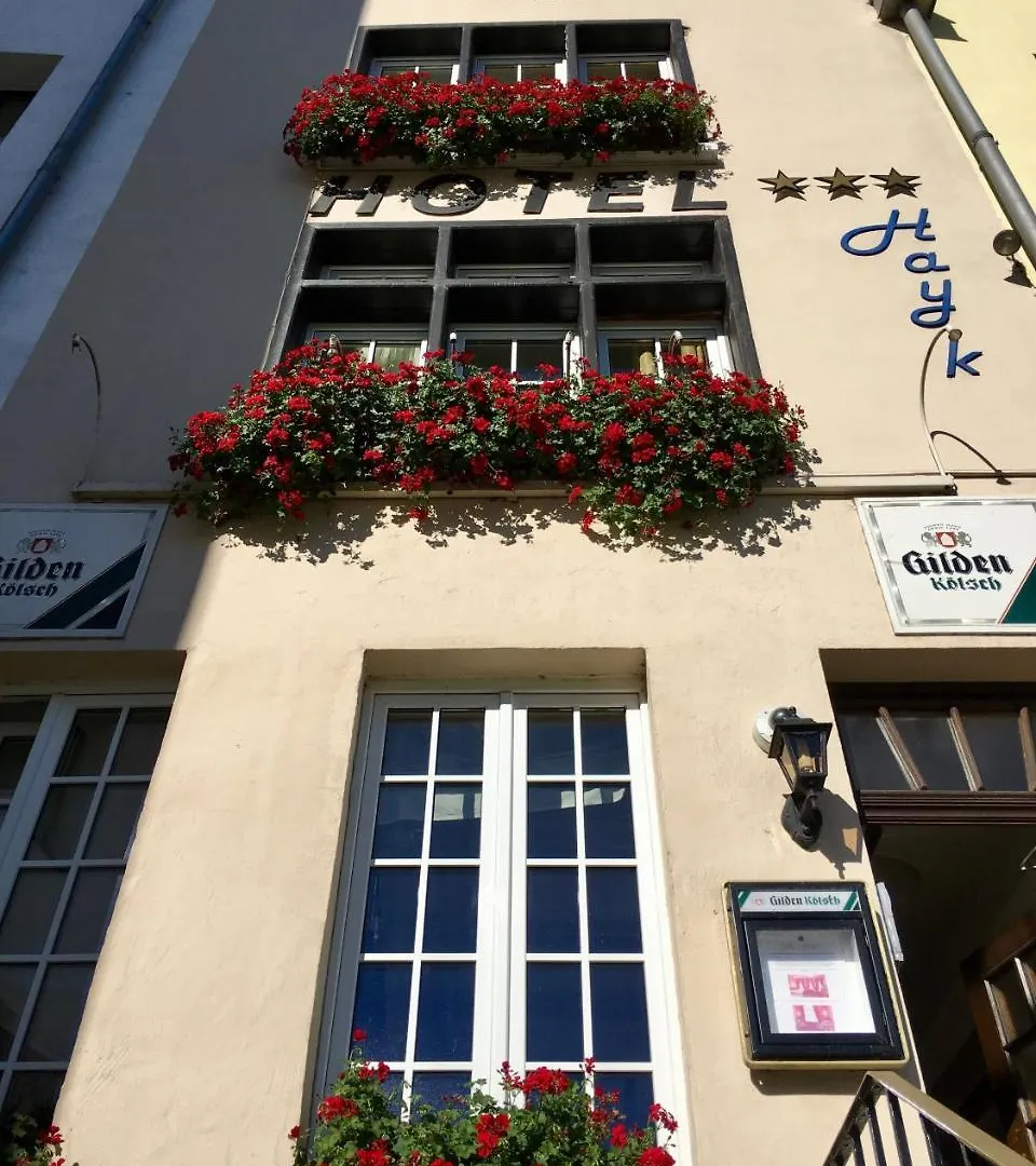 Altstadthotel Hayk Am Rhein Cologne Hotel